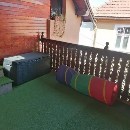Apartment Cozy Attic Brasov