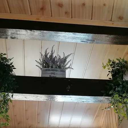 Apartment Cozy Attic Brasov